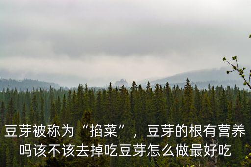 洛陽豆芽怎么做好吃,豆芽怎么做最好吃