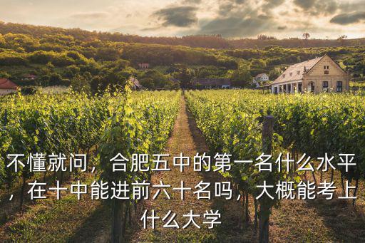 合肥十中2019年高考多少人考上大學(xué),大概能考上什么大學(xué)
