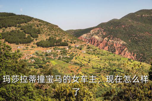 河南法拉利撞寶馬現在怎么樣了,現在怎么樣了