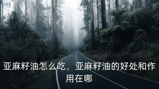 襄陽(yáng)亞麻籽油怎么吃,亞麻籽油怎么吃