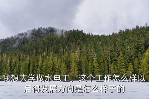 我想去學做水電工，這個工作怎么樣以后得發展方向是怎么樣子的