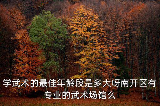 鄭州哪里有學(xué)詠春拳的,在鄭州哪里可以學(xué)太極拳