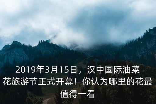 2019年3月15日，漢中國際油菜花旅游節正式開幕！你認為哪里的花最值得一看