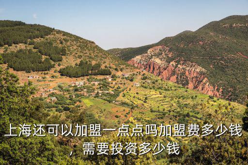 安徽上海奶茶加盟費多少錢,加盟費多少錢