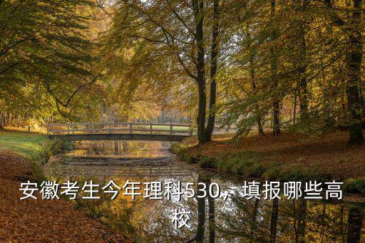 安徽考生多少分可以南昌大學,可以報考什么大學