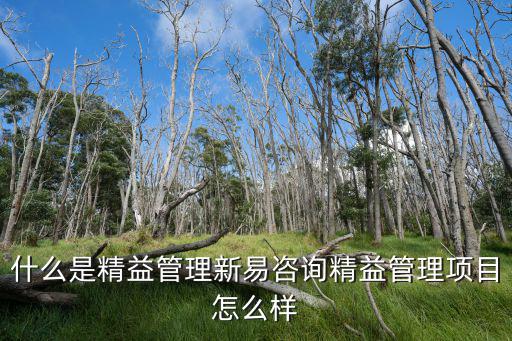 什么是精益管理新易咨詢精益管理項目怎么樣