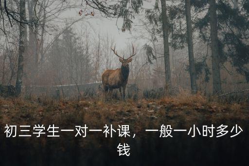 初三學(xué)生一對(duì)一補(bǔ)課，一般一小時(shí)多少錢(qián)