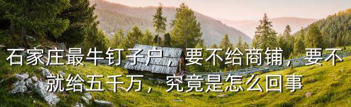 石家莊最牛釘子戶賠償了多少,石家莊最牛釘子戶