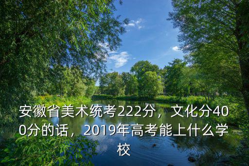 安徽省美術統考222分，文化分400分的話，2019年高考能上什么學校