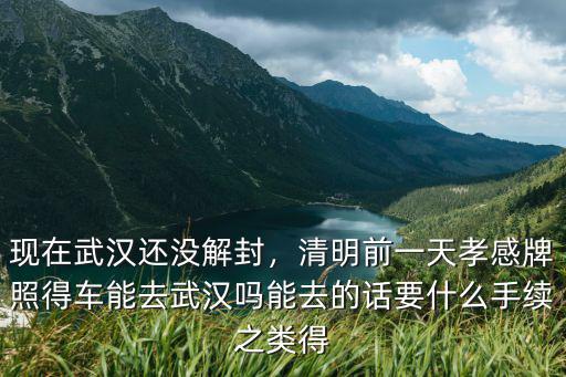 現(xiàn)在武漢還沒解封，清明前一天孝感牌照得車能去武漢嗎能去的話要什么手續(xù)之類得