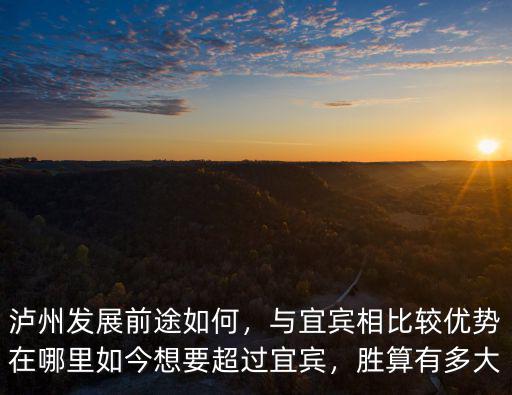 瀘州未來發展市中心在哪里,宜賓未來的發展中心會在哪里