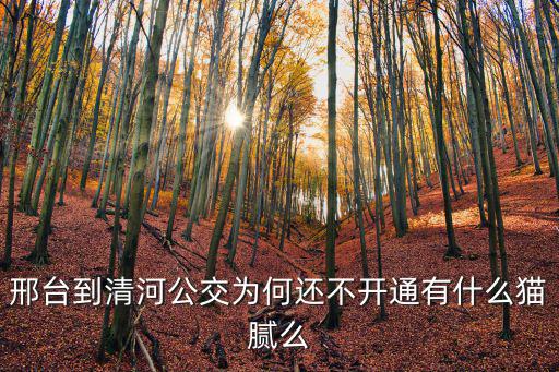 邢臺到清河多少人,邢臺到清河公交為何還不開通