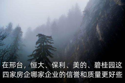碧桂園在邢臺有多少項目,邢臺碧桂園怎么樣