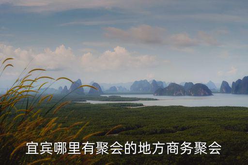 宜賓哪里有聚會的地方商務聚會