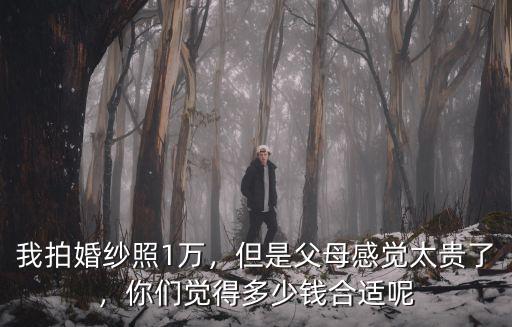 衡水拍婚紗照結婚紀念多少錢,婚紗照拍多少錢的合適