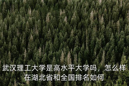 武漢理工大學(xué)是高水平大學(xué)嗎，怎么樣在湖北省和全國(guó)排名如何