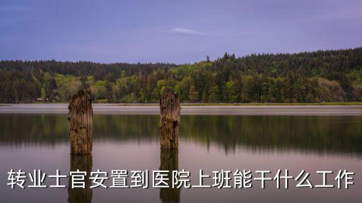 轉(zhuǎn)業(yè)士官安置到醫(yī)院上班能干什么工作