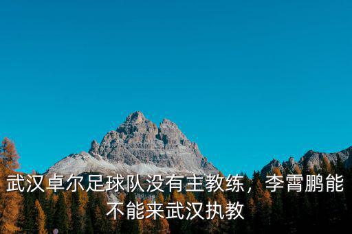 武漢卓爾教練現在怎么樣了,武漢卓爾在中超前景怎么樣