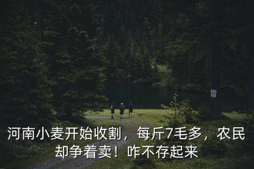 河南小麥開始收割，每斤7毛多，農(nóng)民卻爭著賣！咋不存起來