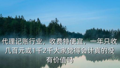 保定代理記賬一年多少錢,代理記賬多少錢一個月