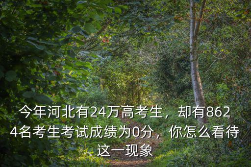 河北省今年報考有多少考生,今年河北有24萬高考生