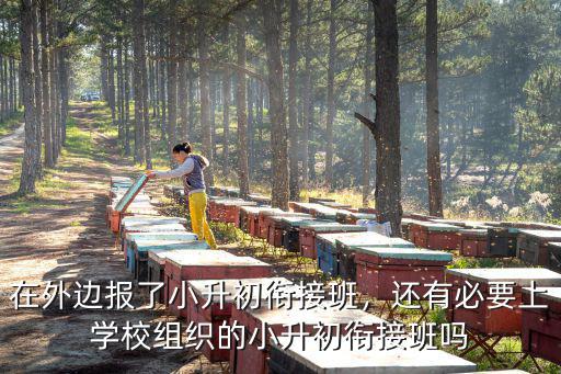 綿陽哪里可以報小升初的銜接班,小升初銜接班怎樣選擇好