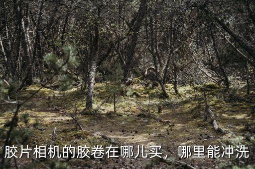 雅安哪里在賣相機器材,相機在哪里買靠譜