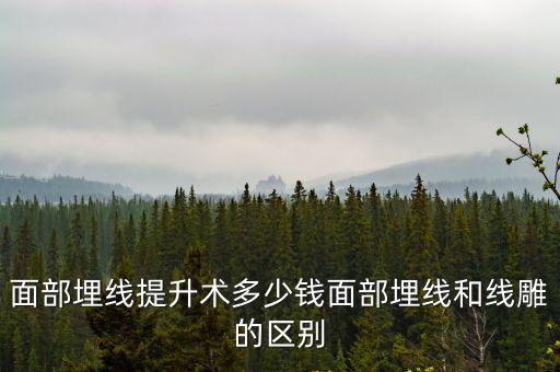 亳州面部提升術一般多少錢,面部埋線和線雕的區別