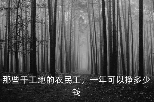 那些干工地的農民工，一年可以掙多少錢