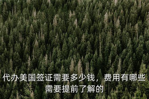 石家莊美國代辦簽證多少錢,旅行社代辦美國簽證多少錢