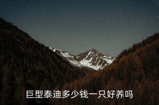 安徽大型犬多少錢,巨型貴賓犬多少錢一只