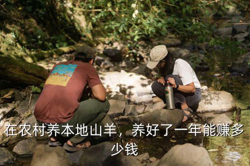 在農(nóng)村養(yǎng)本地山羊，養(yǎng)好了一年能賺多少錢