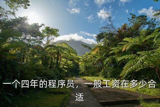 一個(gè)四年的程序員，一般工資在多少合適