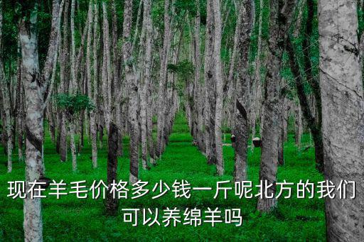 河北省綿羊的價格多少錢一斤今天,現在羊毛價格多少錢一斤呢