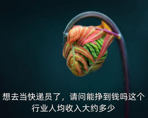 石家莊快遞員工資一般多少錢,順豐快遞員一個月能掙多少錢