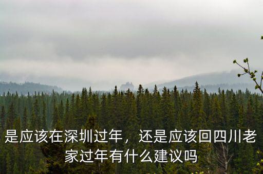 是應該在深圳過年，還是應該回四川老家過年有什么建議嗎