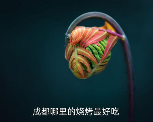 成都炭烤燒烤哪里最好,四川哪里的燒烤比較出名