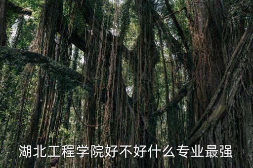 湖北工程學院好不好什么專業最強