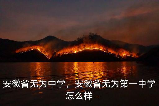 安徽無為中學(xué)省排名多少,安徽省無為第一中學(xué)怎么樣