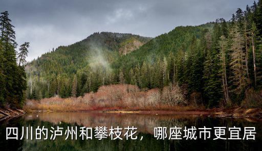 四川的瀘州和攀枝花，哪座城市更宜居