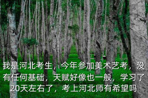 河北美術聯考多少分讓校考,河北美術聯考249分