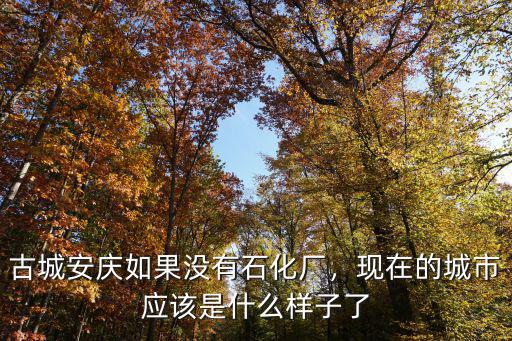 安慶石化產(chǎn)值是多少,安慶除了安慶石化