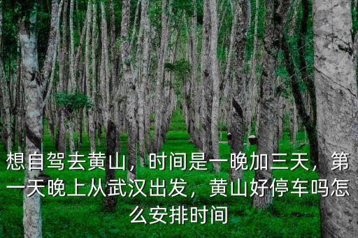 武漢到黃山自駕多少錢,從武漢開車去黃山