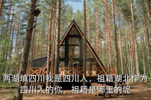 四川澤哥是哪里人,兩湖填四川。我是四川人