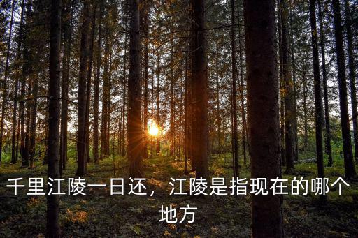 巴中江陵庵在哪里,千里江陵一日還