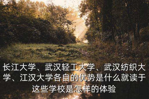 在武漢輕工大學怎么樣,武漢輕工大學