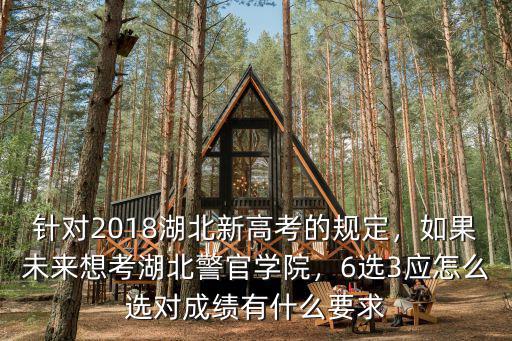 湖北考警察怎么選崗位,6選3應怎么選