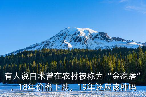 有人說(shuō)白術(shù)曾在農(nóng)村被稱(chēng)為“金疙瘩”，18年價(jià)格下跌，19年還應(yīng)該種嗎