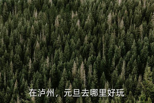 五一瀘州哪里耍,問下瀘州晚上哪里好耍啊