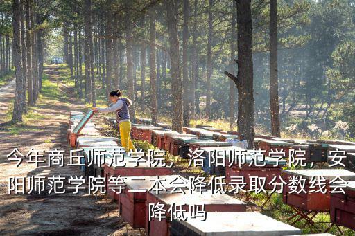 今年商丘師范學院，洛陽師范學院，安陽師范學院等二本會降低錄取分數(shù)線會降低嗎